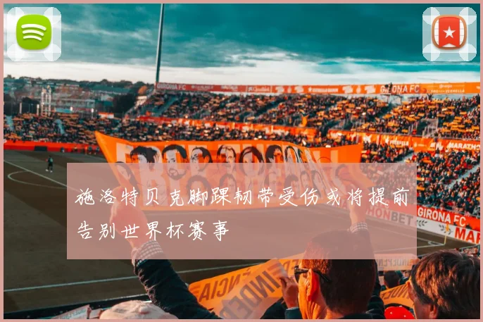 施洛特贝克脚踝韧带受伤或将提前告别世界杯赛事
